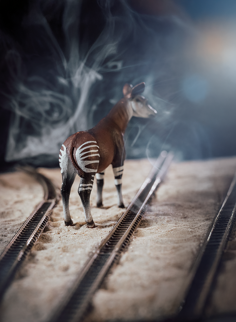 Was Man Von Hier Aus Sehen Kann Medimops Was man von hier aus sehen kann