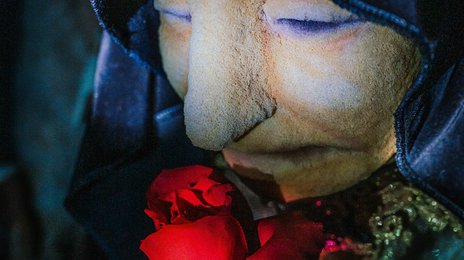 Der Name der Rose