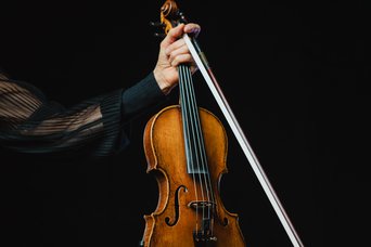Violine