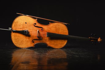 Violoncello