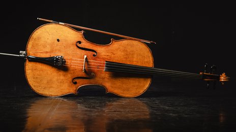 Violoncello