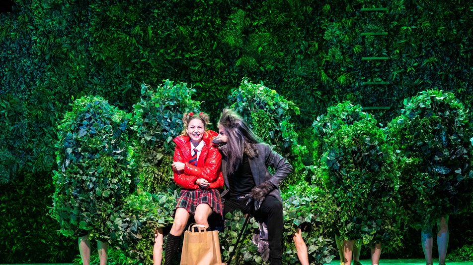 Ab in den Wald — Into the Woods