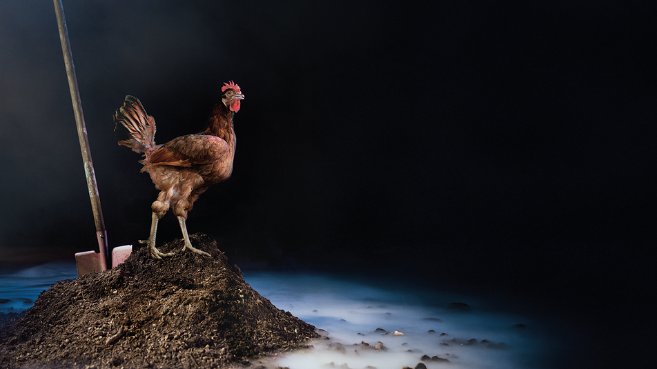 Baba Dunjas letzte Liebe