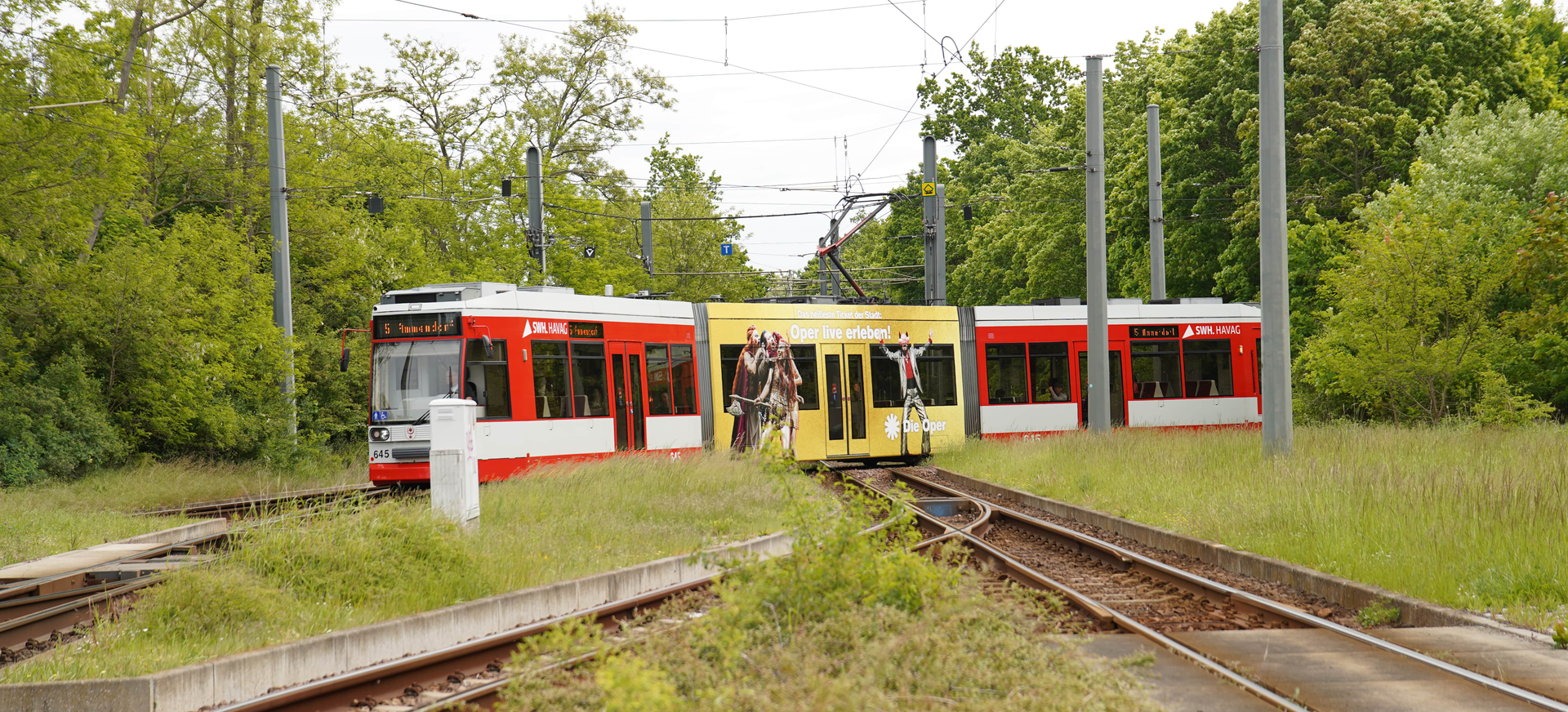 Eine Straßenbahn mit Opernwerbung fährt durchs Grüne.