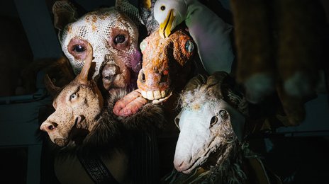 Farm der Tiere