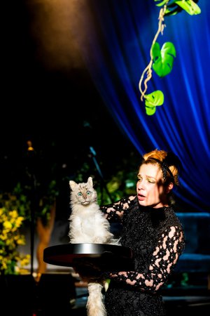 »Der schwarze Salon - Ohne Dunkelheit sind wir blind« © Anna Kolata