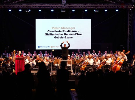 Die Oper und die Staatskapelle beim Kulturspektakel 2024